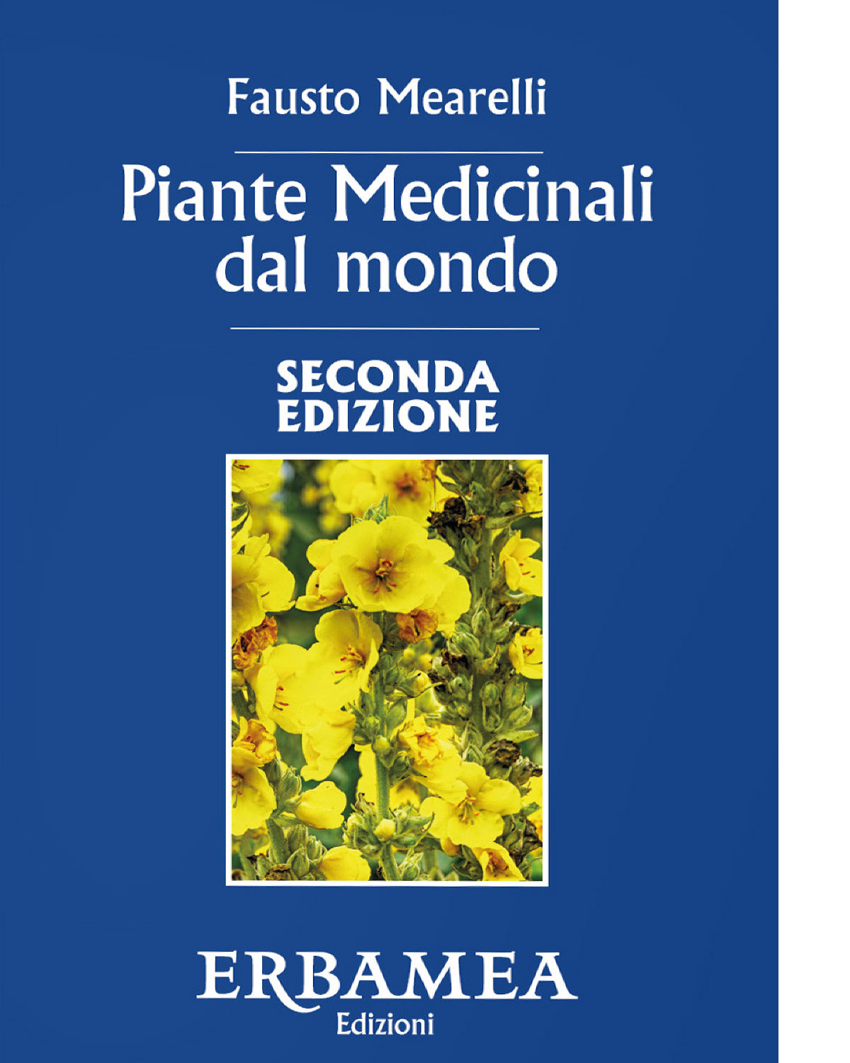 Piante Medicinali dal Mondo