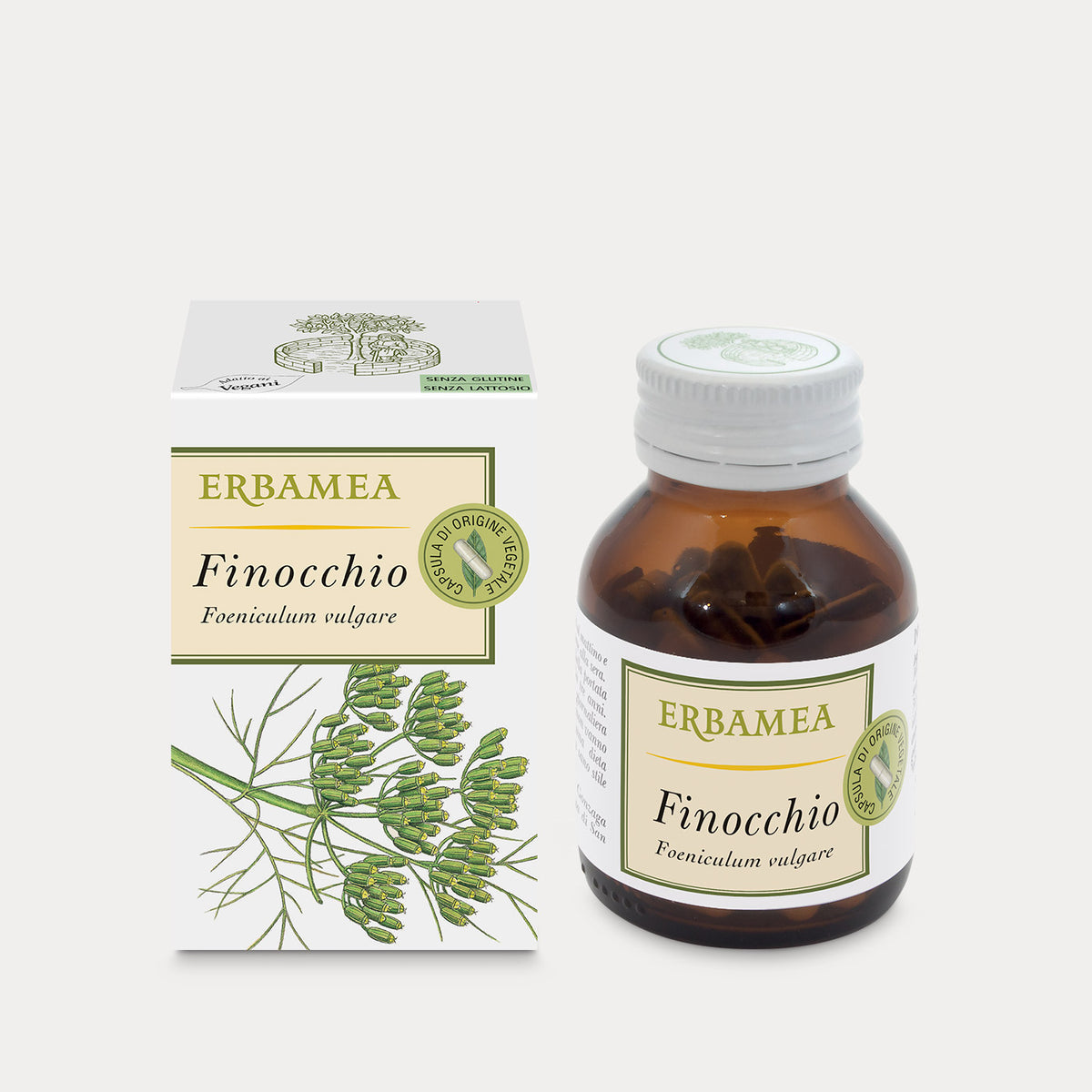 Finocchio