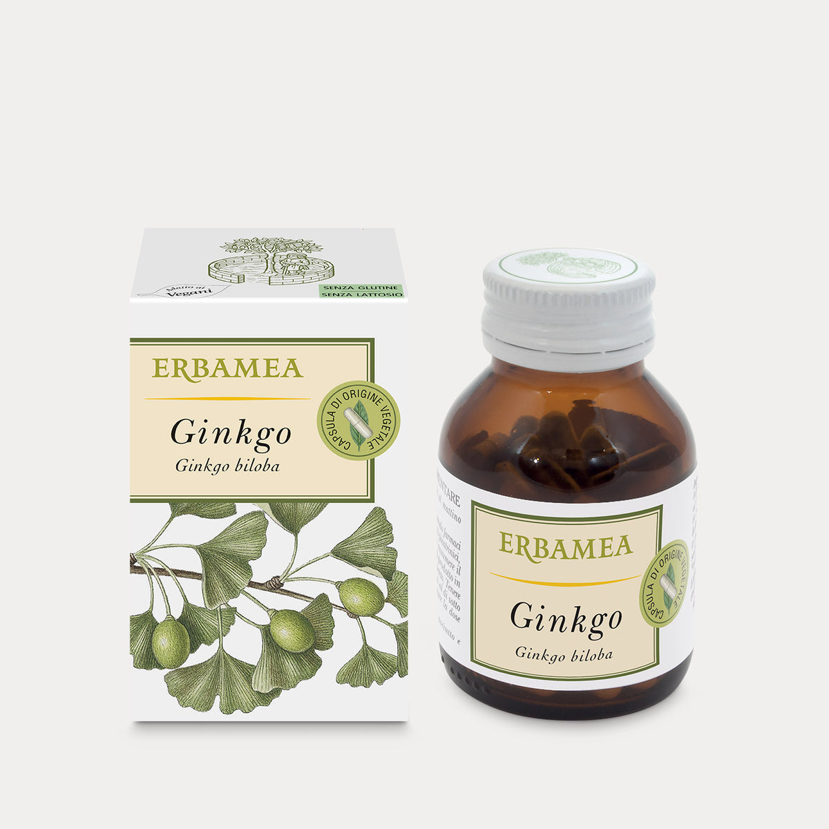 Ginkgo