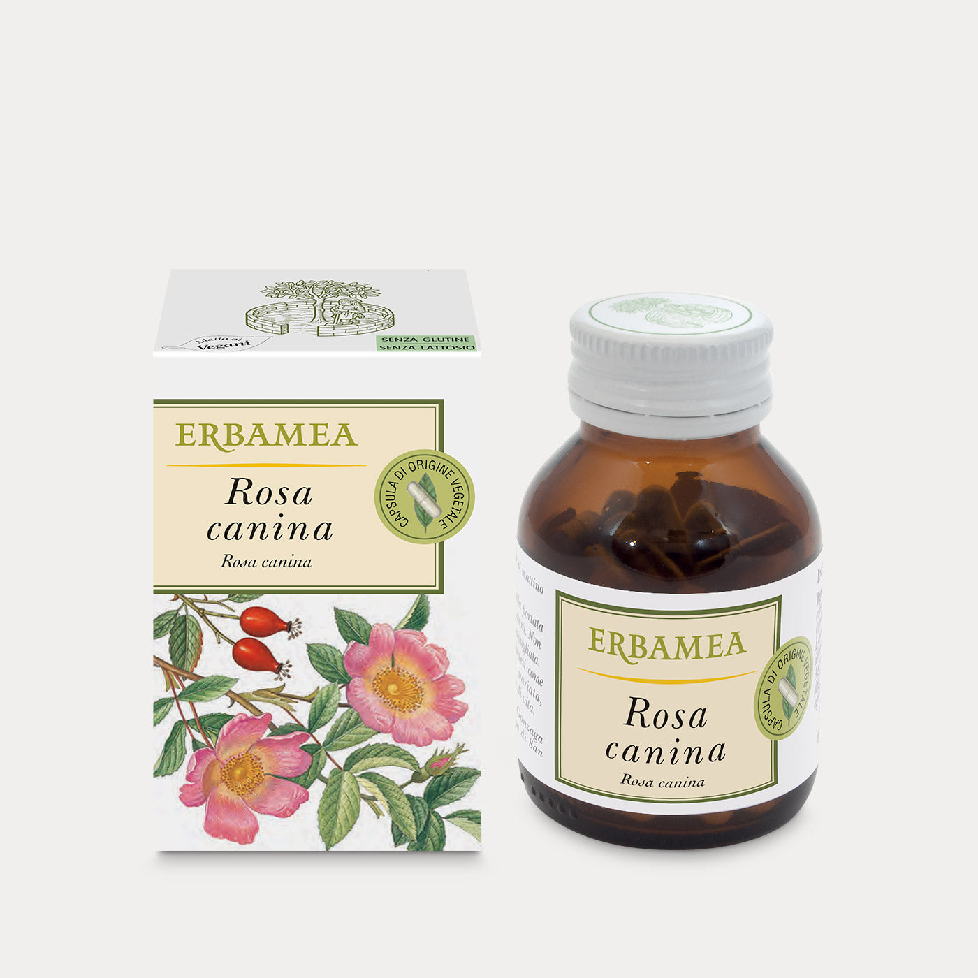Rosa Canina