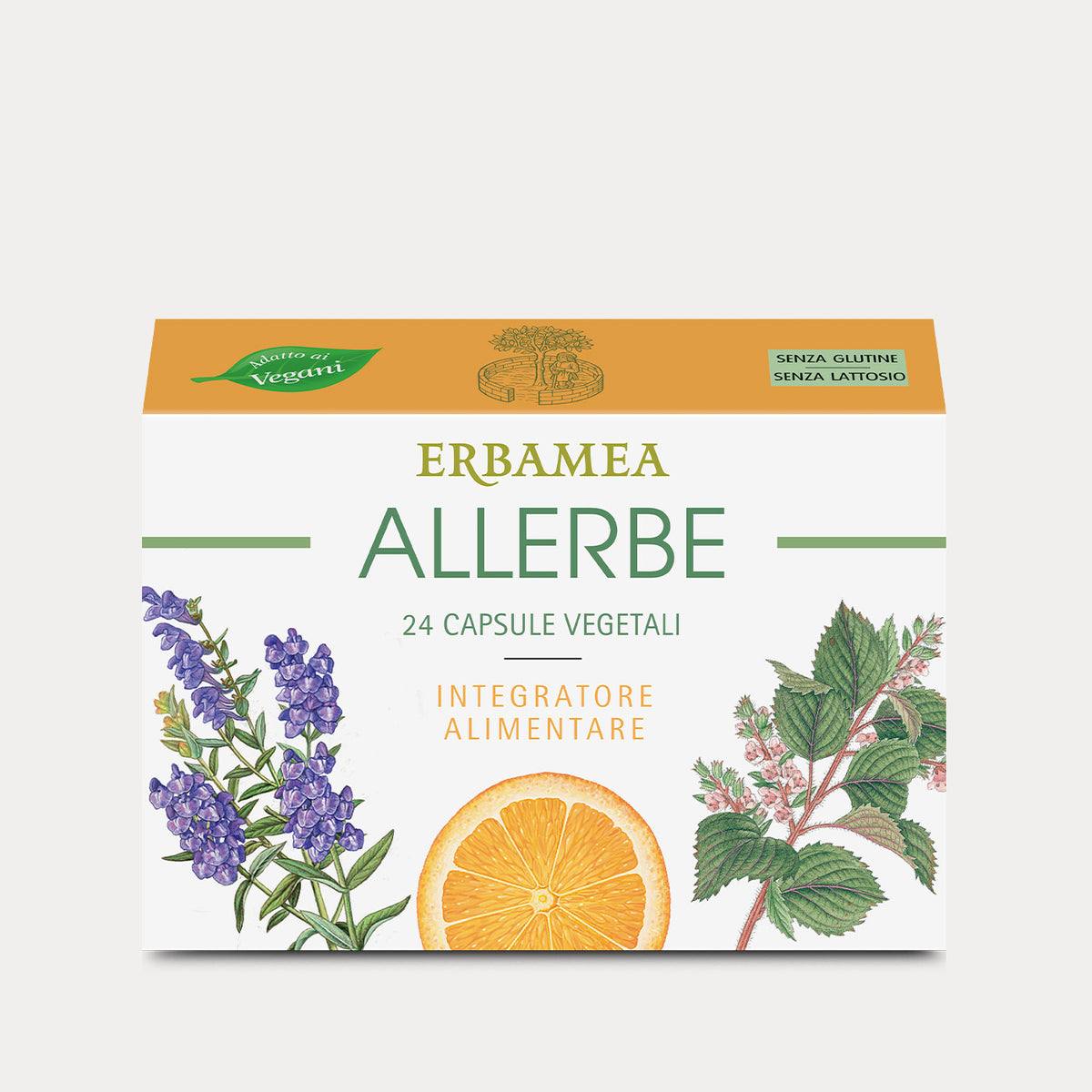 Allerbe