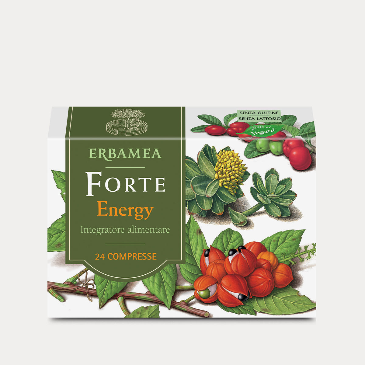 Forte Energy