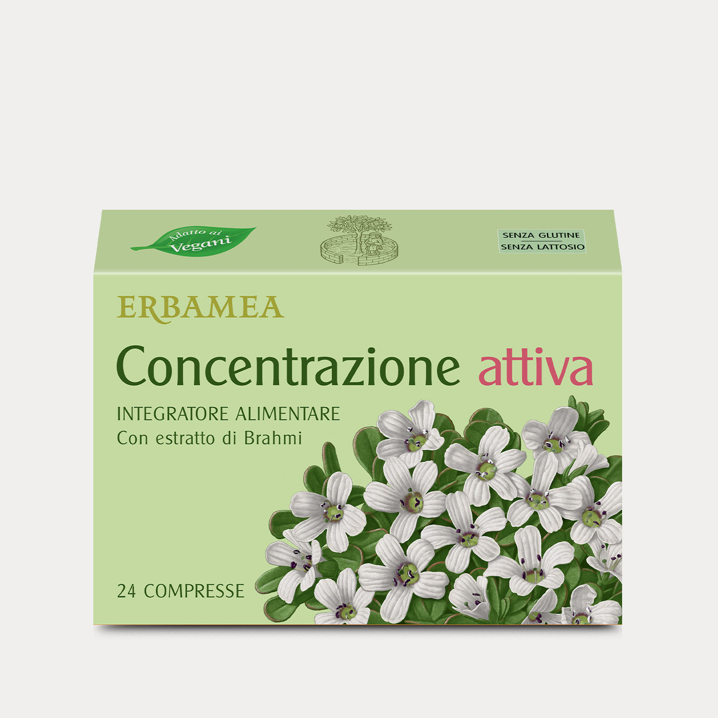 Concentrazione Attiva