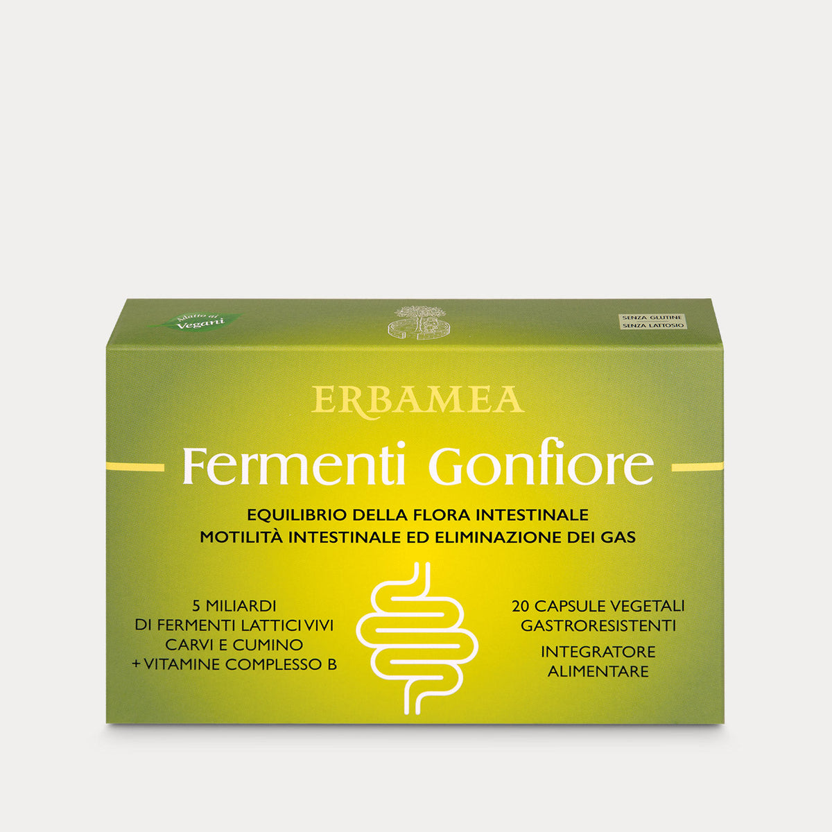 Fermenti Gonfiore