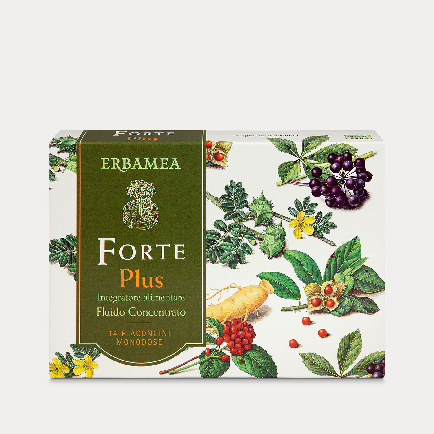 Forte Plus