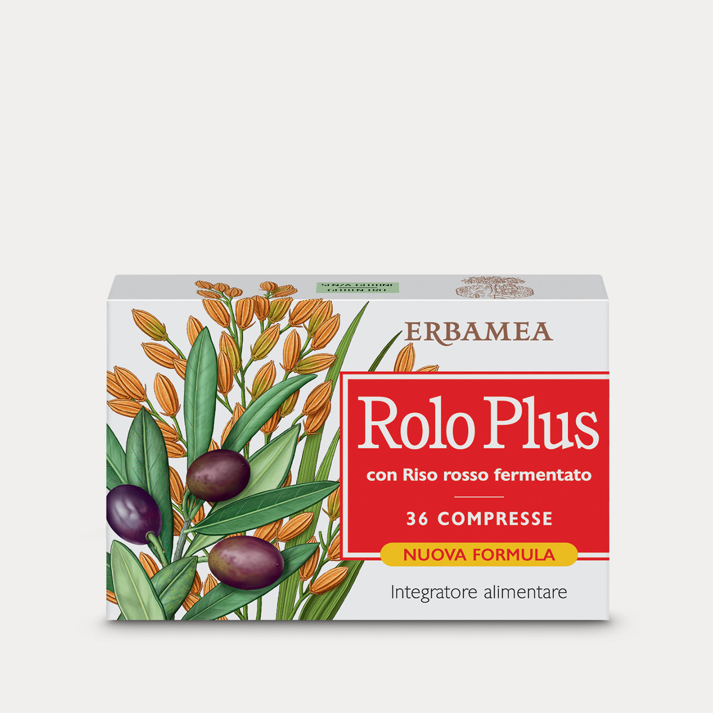 Rolo Plus