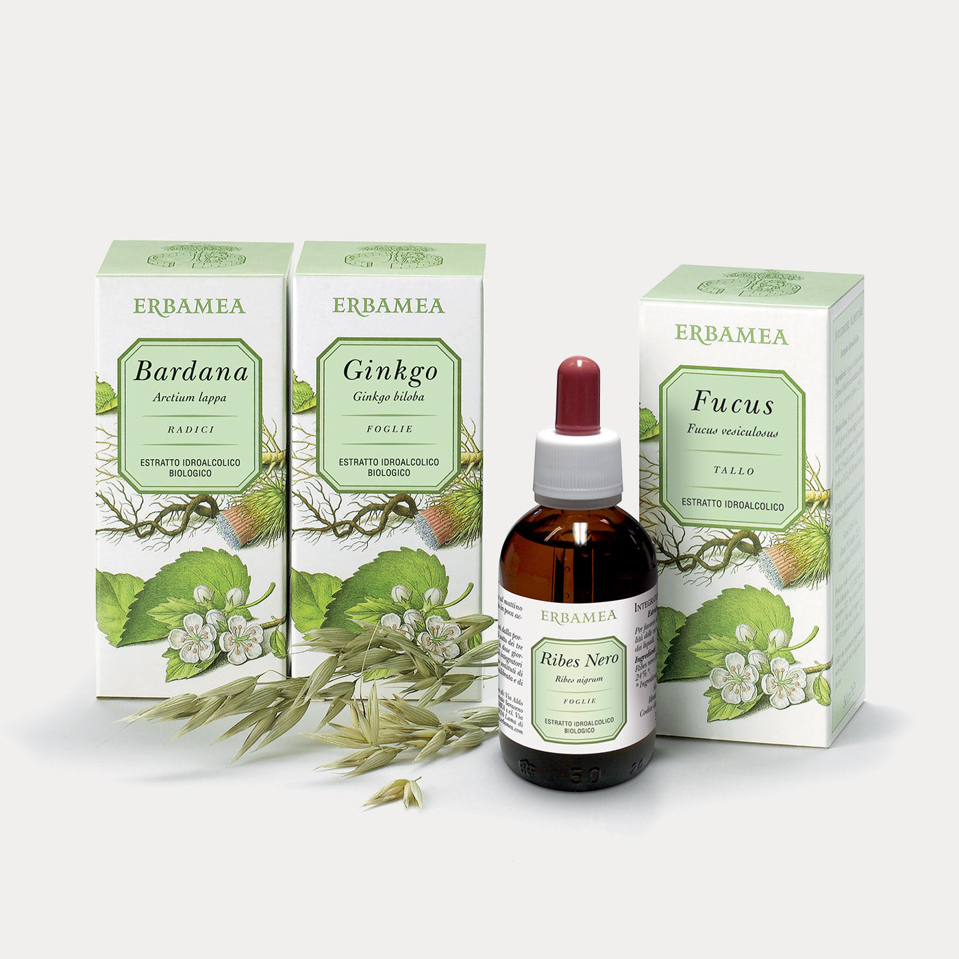 Estratti Idroalcolici da piante fresche