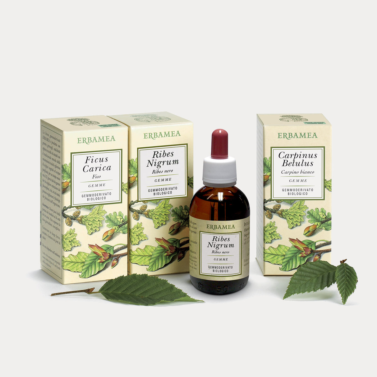 Gemmoderivati