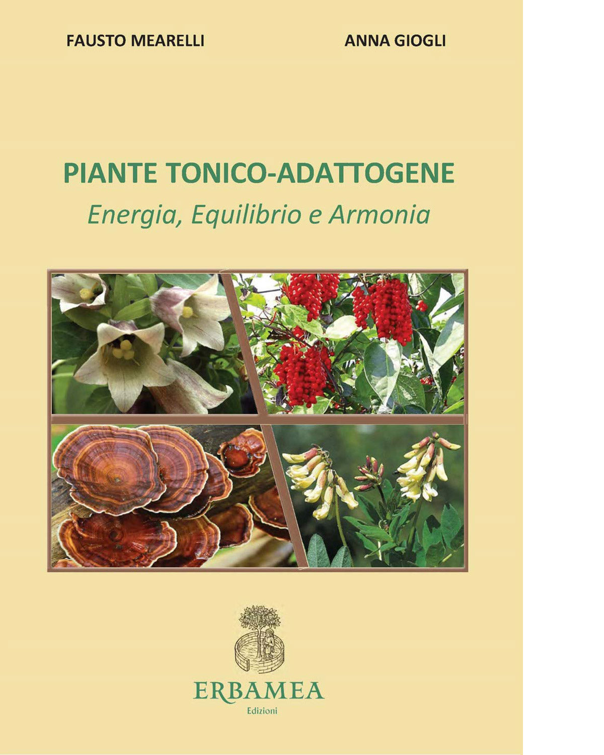 Piante tonico adattogene
