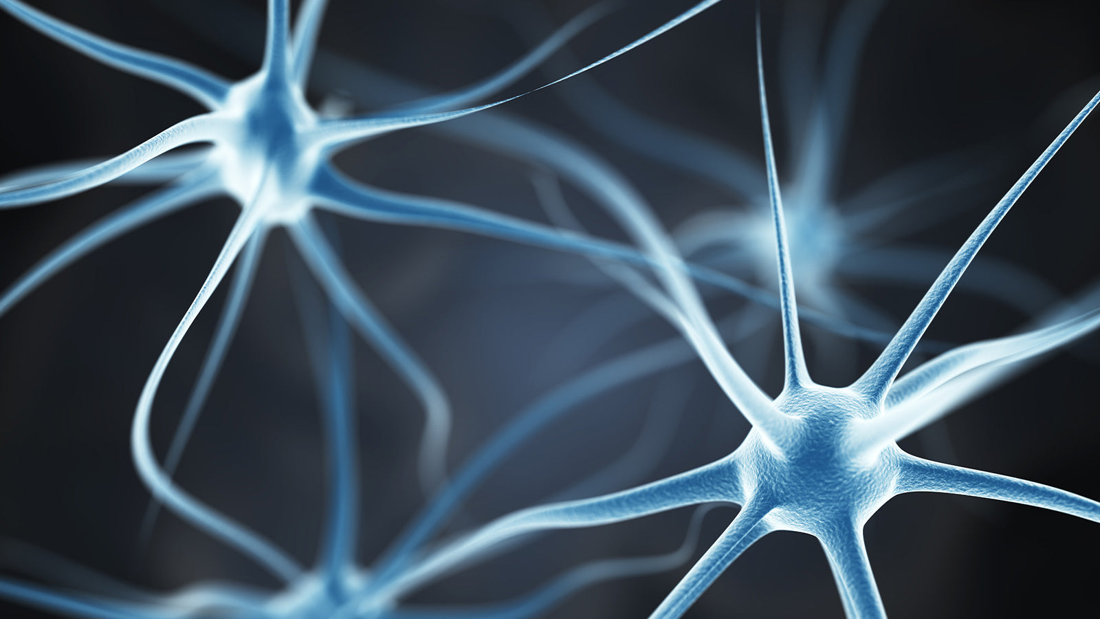 Citicolina: una molecola studiata per il sistema nervoso