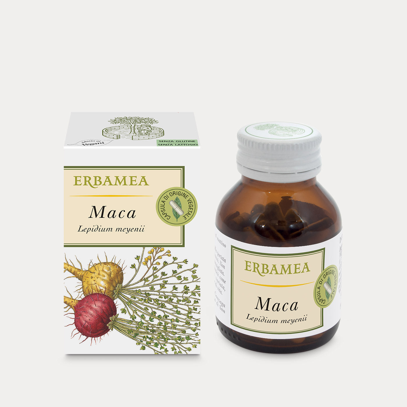 Maca