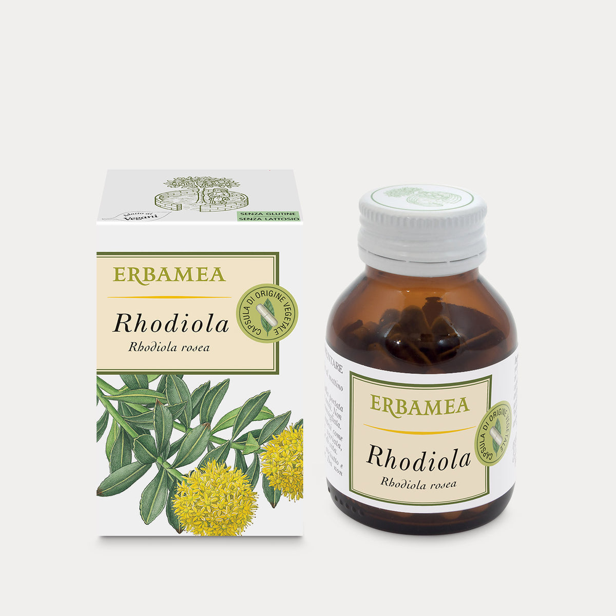 Rhodiola
