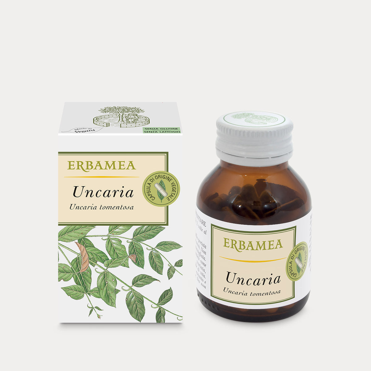 Uncaria